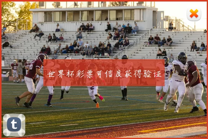 世界杯彩票可信度获得验证