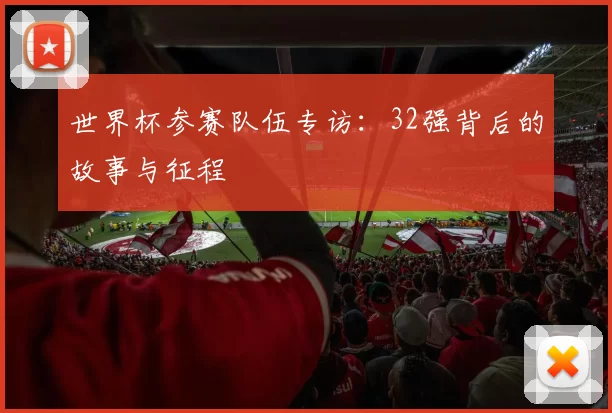 世界杯参赛队伍专访:32强背后的故事与征程