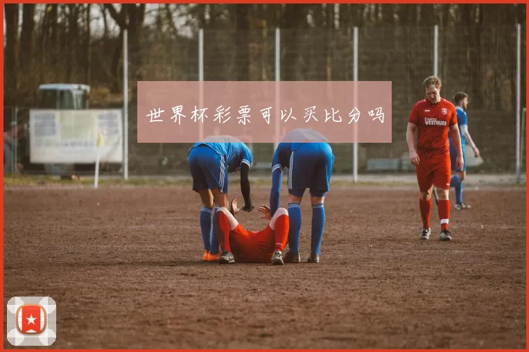 世界杯彩票可以买比分吗