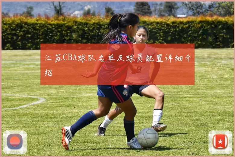 江苏CBA球队名单及球员配置详细介绍