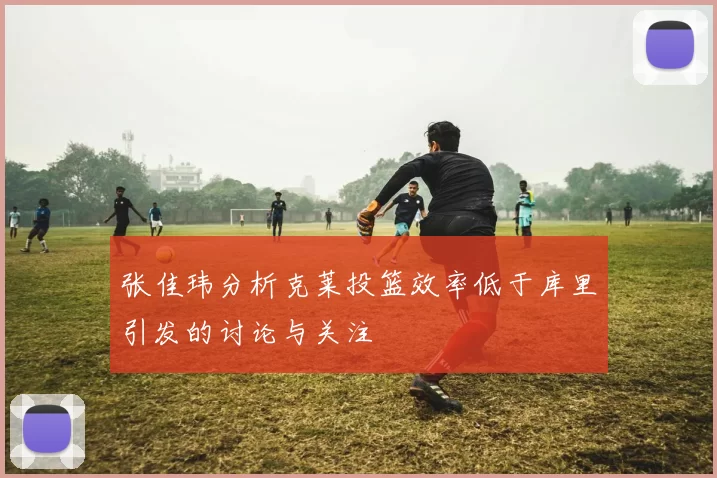 张佳玮分析克莱投篮效率低于库里引发的讨论与关注
