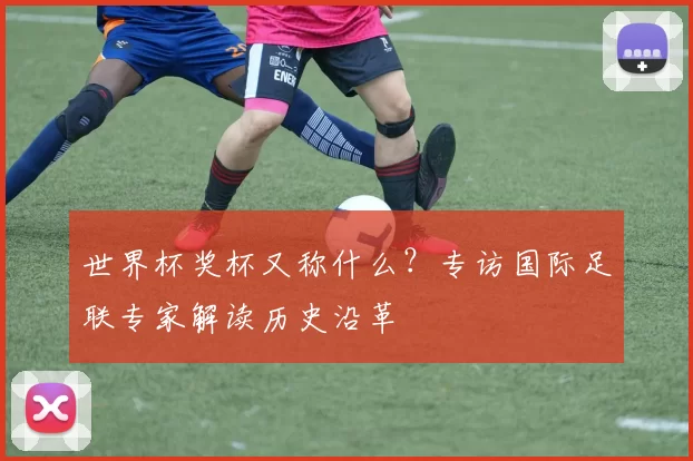 世界杯奖杯又称什么?专访国际足联专家解读历史沿革