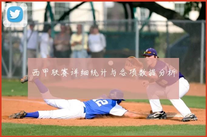 西甲联赛详细统计与各项数据分析