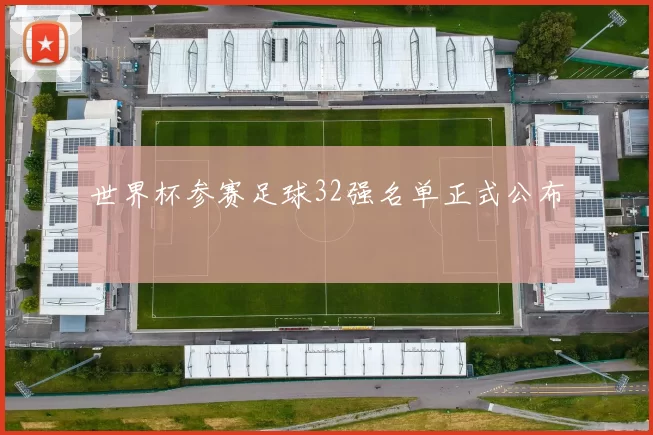 世界杯参赛足球32强名单正式公布