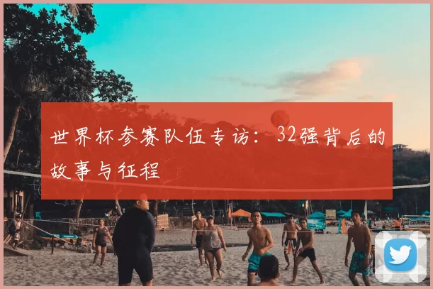 世界杯参赛队伍专访:32强背后的故事与征程