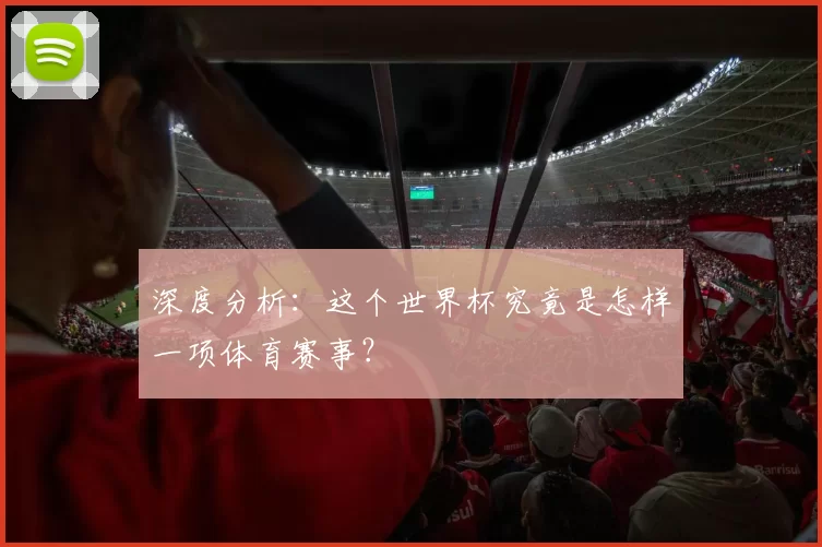 深度分析:这个世界杯究竟是怎样一项体育赛事?