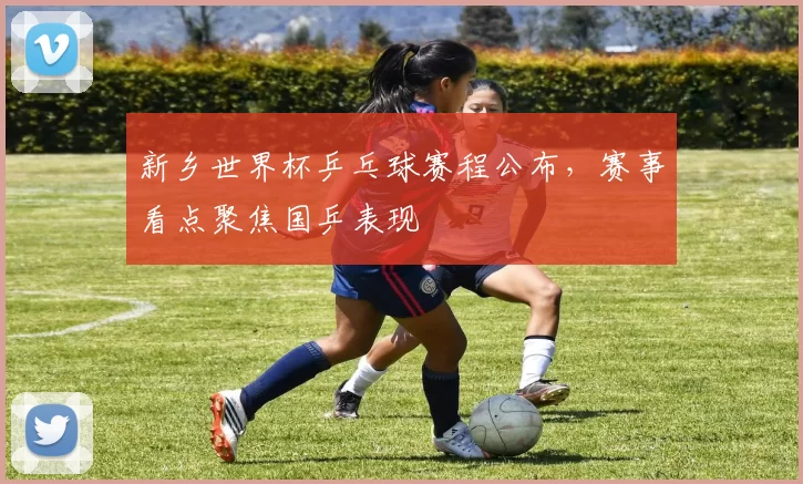 新乡世界杯乒乓球赛程公布，赛事看点聚焦国乒表现