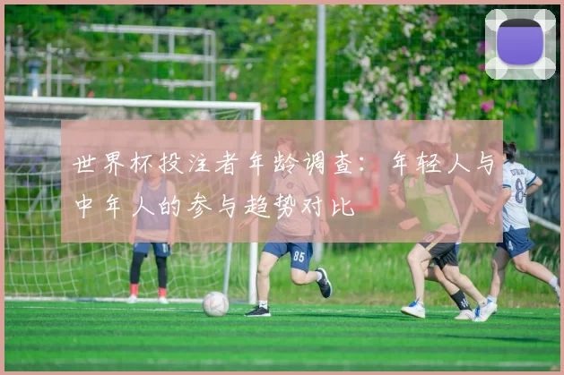 世界杯投注者年龄调查:年轻人与中年人的参与趋势对比