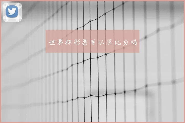 世界杯彩票可以买比分吗