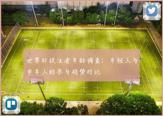世界杯投注者年龄调查:年轻人与中年人的参与趋势对比