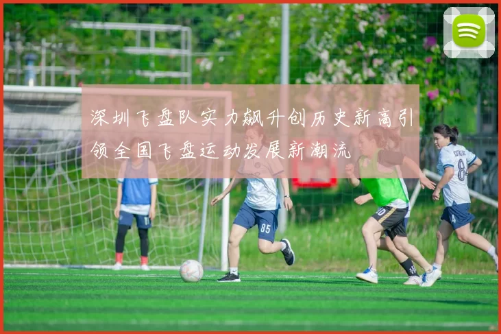 深圳飞盘队实力飙升创历史新高引领全国飞盘运动发展新潮流