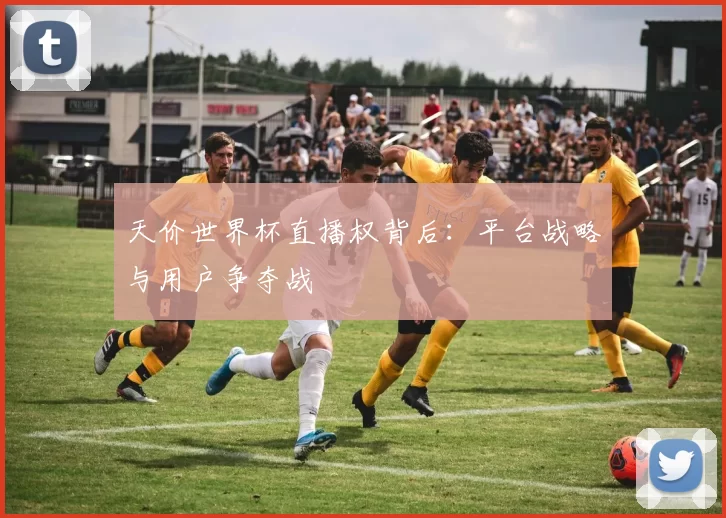 天价世界杯直播权背后:平台战略与用户争夺战